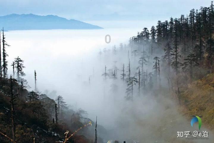 满脸的痘痘怎么办?知识星球平台,专注知识共享与学习